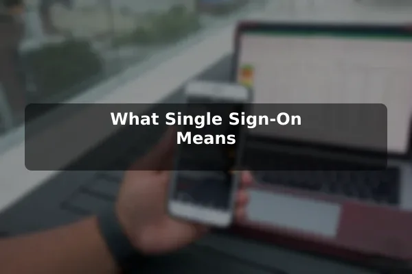 What Single Sign-On Means