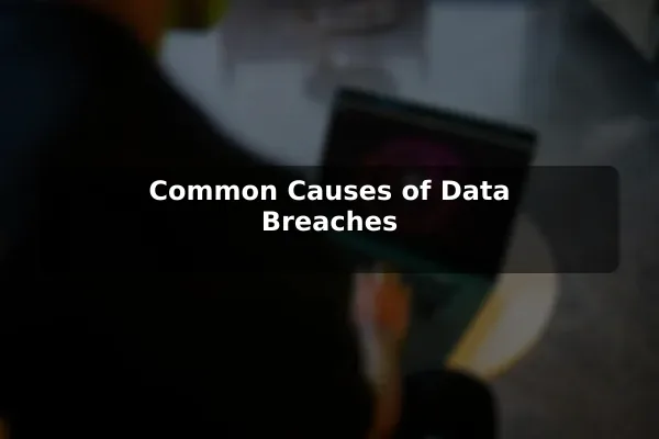 Common Causes of Data Breaches