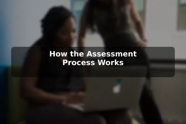 How the Assessment Process Works