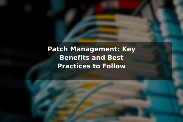 Patch Management: Key Benefits and Best Practices to Follow